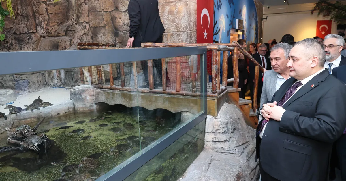 Keçiören’de Yenilenen Deniz Dünyası Açıldı!