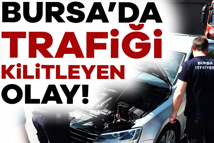 Kedi Trafiği Kilitledi: İtfaiye Seferber Oldu!