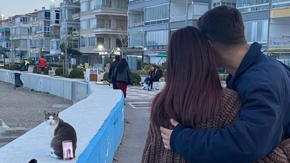 Kediden Fotoğraf Asistanı: Gülümseten Anlar!