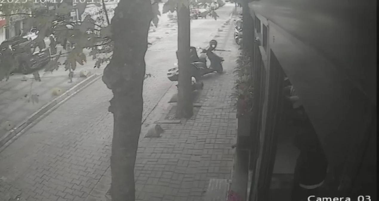 Kedileri Besleyen İş Adamına Saldırı!
