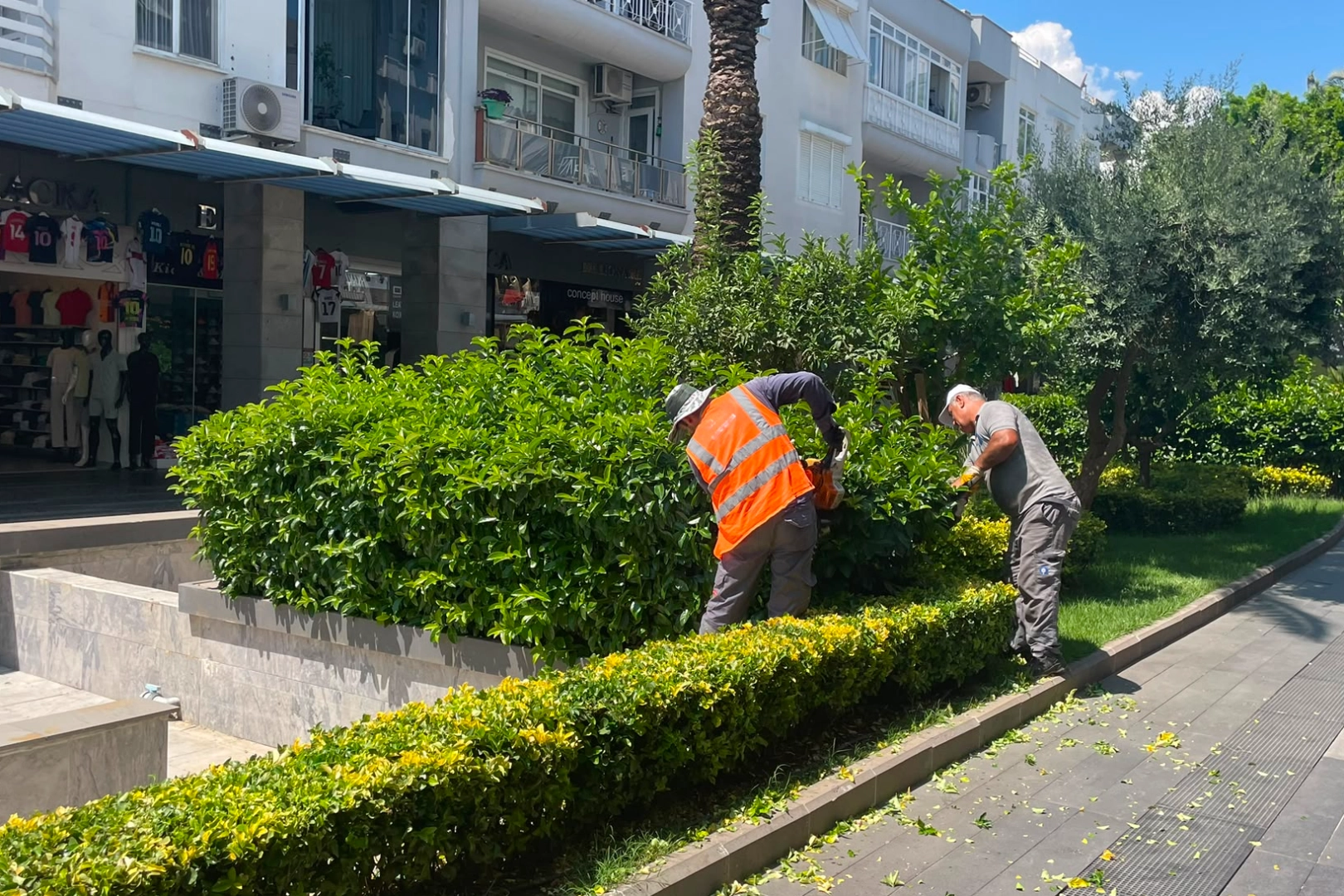 Kemer’de Liman Caddesi’nde Yeşil Düzenleme!