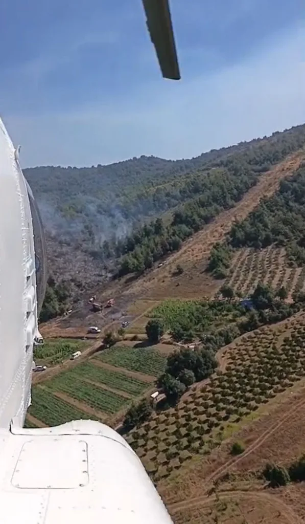 Kestel’de Anız Yangını Ormana Sıçradı