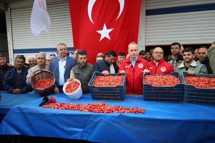 Kiraz Hasadı Coşkusu: Hasret Sona Erdi!