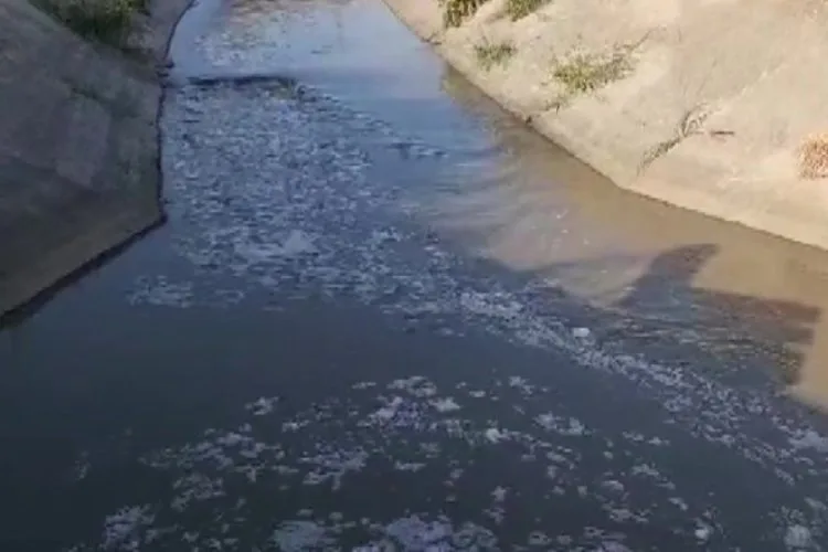 Kirlilik Balık Ölümlerine Yol Açtı!