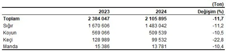 Kırmızı Et Üretimi 2024’te Büyük Düşüş Yaşadı!