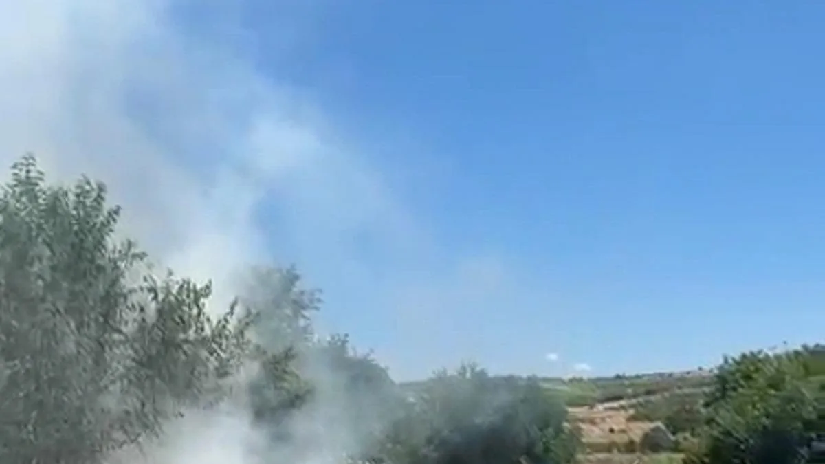 Kırsal Tarlada Yangın: 20 Dönüm Zarar Gördü!