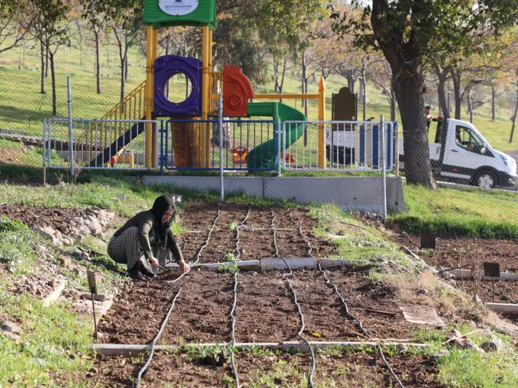 Kış Dikimleriyle İzmirli Kadınlar Üretime Başladı