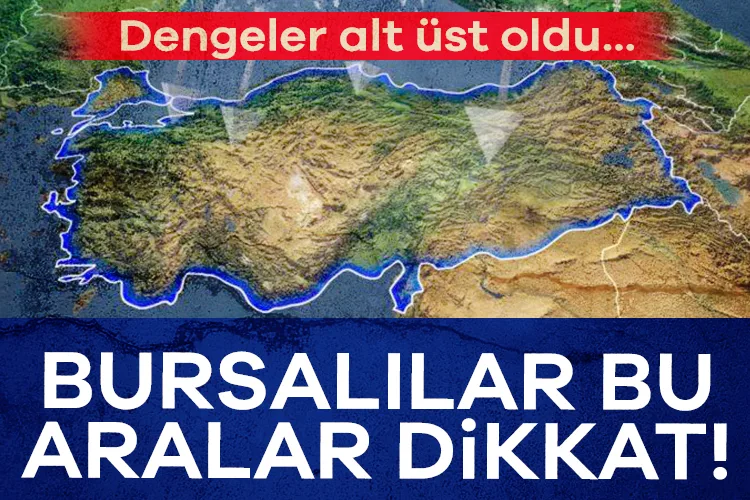 Kış Sıcak Geçiyor, Sivrisinekler Aktif!