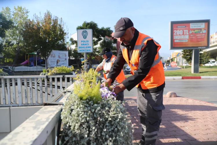 Kışın Antalya’yı 4 Milyon Çiçek Renklendiriyor!