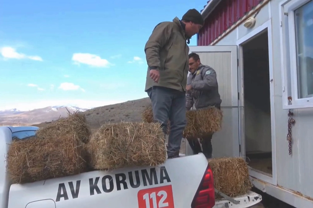 Kışın Yaban Hayatına Yem Desteği Niğde’de Devam Ediyor