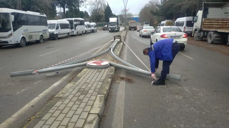 Kocaeli’de Lodosla Mücadele İçin Hızlı Çalışma