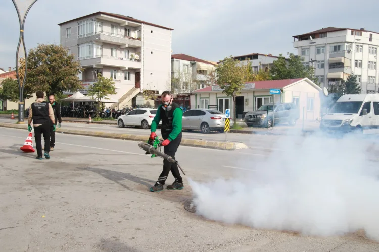 Kocaeli’de Sinek Mücadelesi Kışa Hazırlanıyor