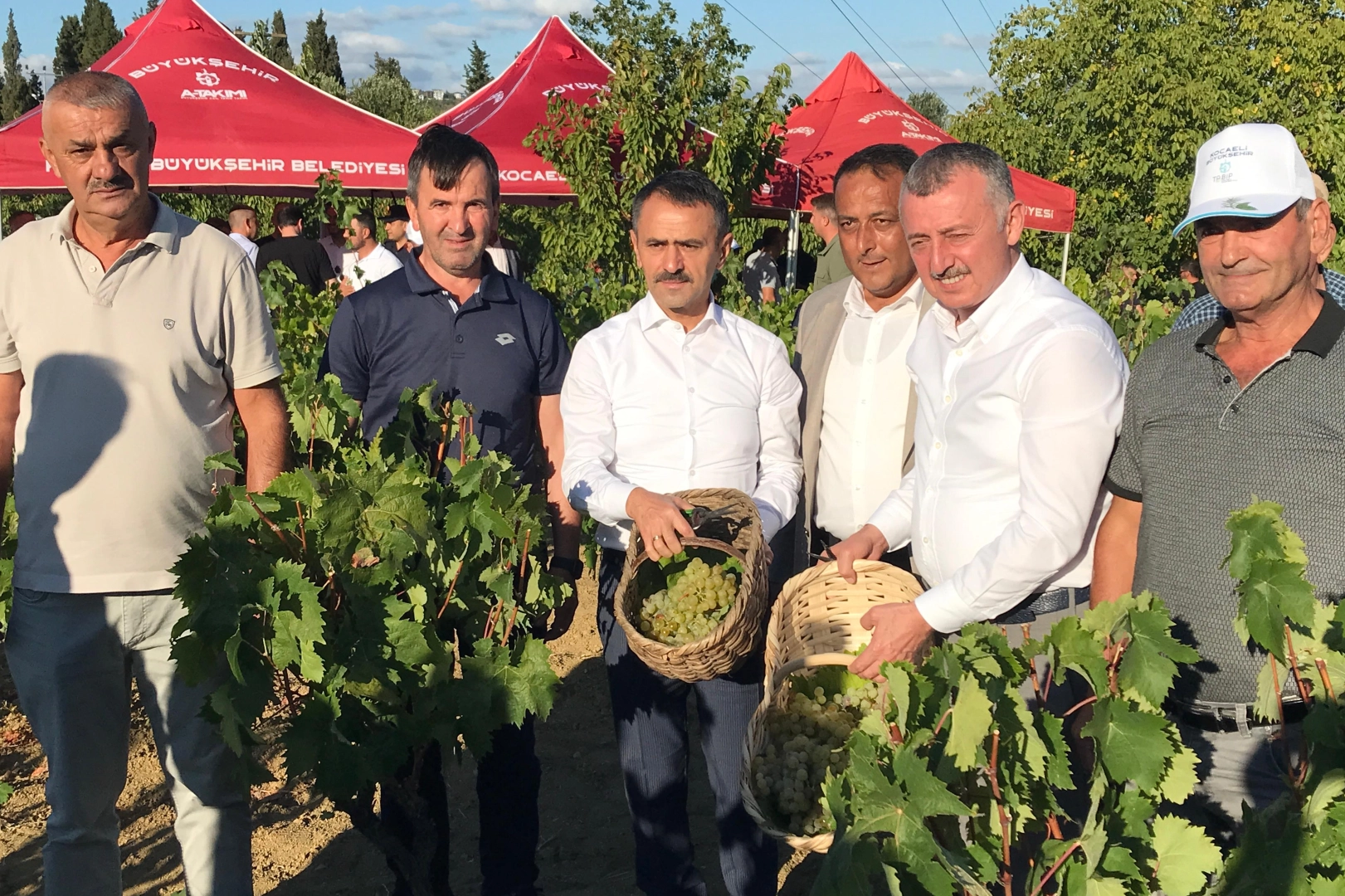 Kocaeli’de Üzüm Hasadı Coşkuyla Başladı!