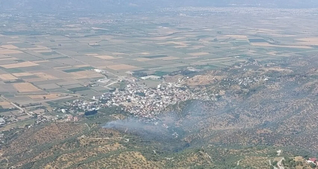 Koçarlı’da Zeytin Ağaçlarıyla Dolu Arazide Yangın!