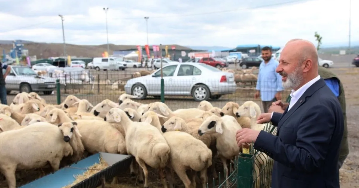 Kocasinan’da Kurban İçin Hazırlıklar Tamamlandı!