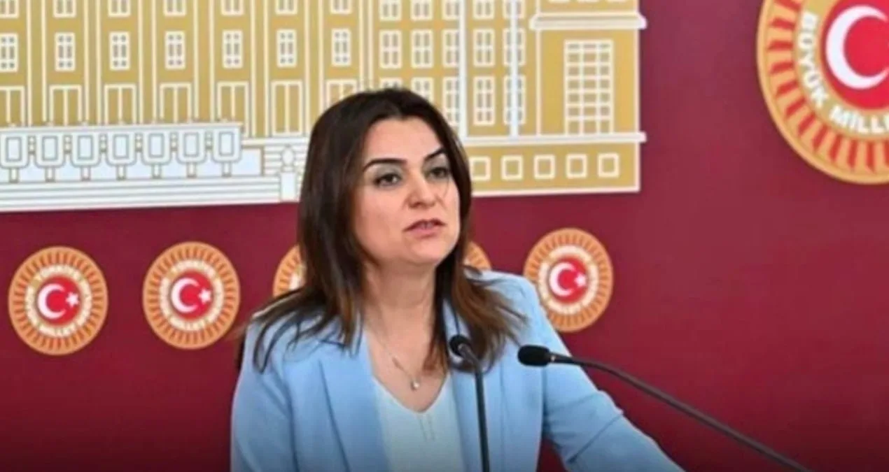 Koçyiğit: Yasa Çıkmadan İlerleme Olmaz!