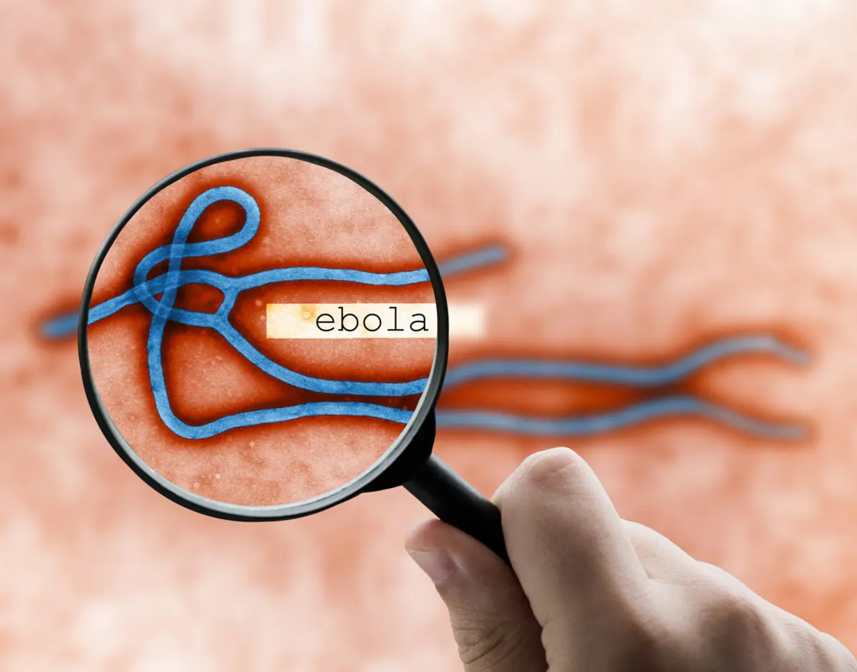 Afrika da Ebola kabusu geri döndü! Ölü sayısı 4 bini geçti: Ne aşısı var ne tedavisi 2