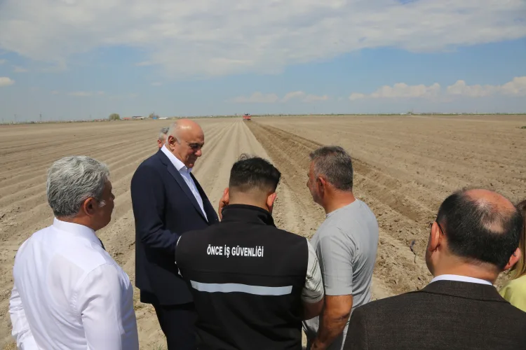 Konya’da Patates Üretimi Yerli Tohumla Yükseliyor