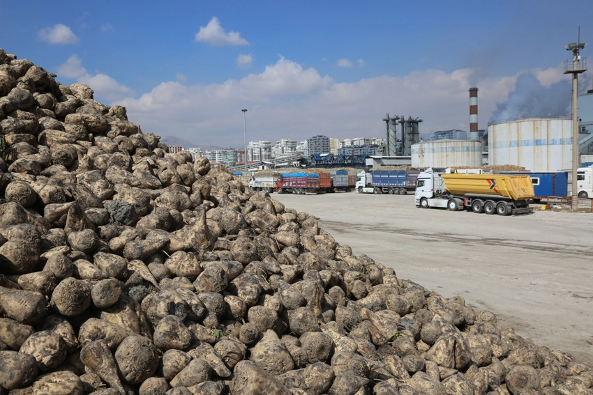 Konya Şeker’den Üreticilere 8,5 Milyar TL Ödeme