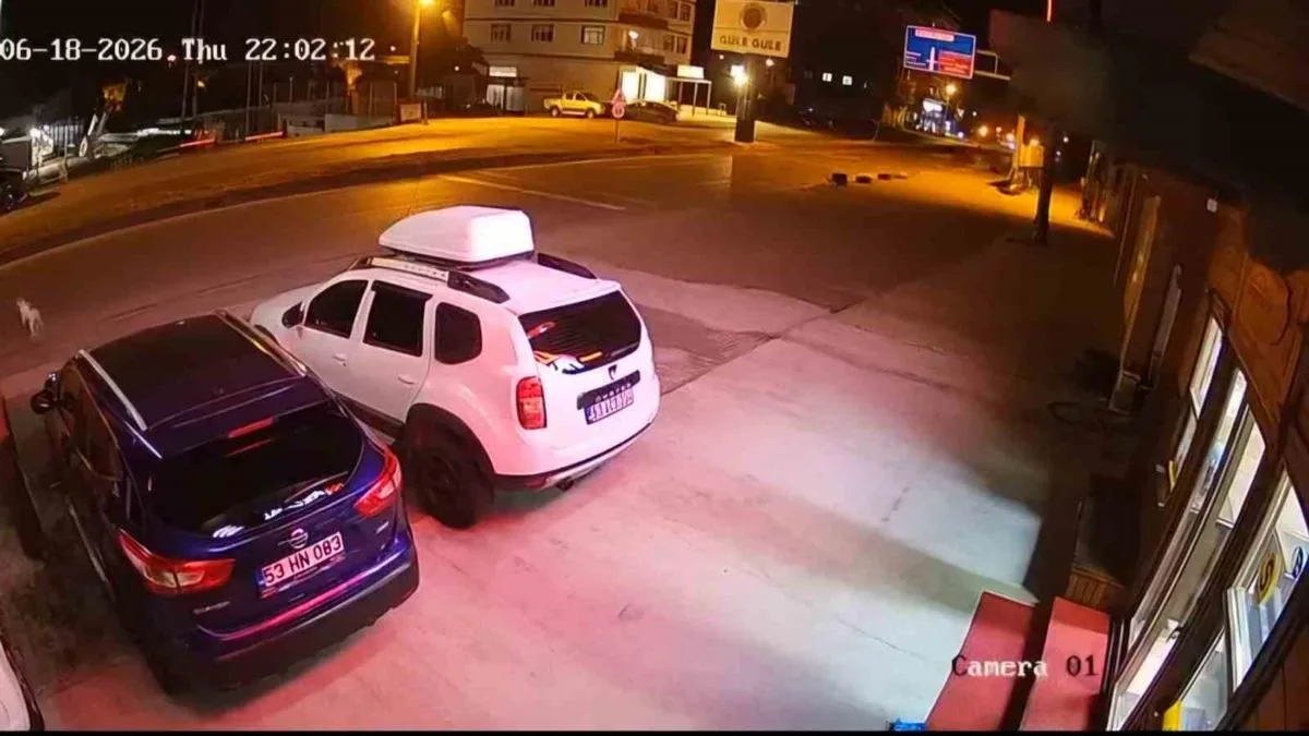 Köpeğe Çarpmamak İçin ATV ile Takla Attı!
