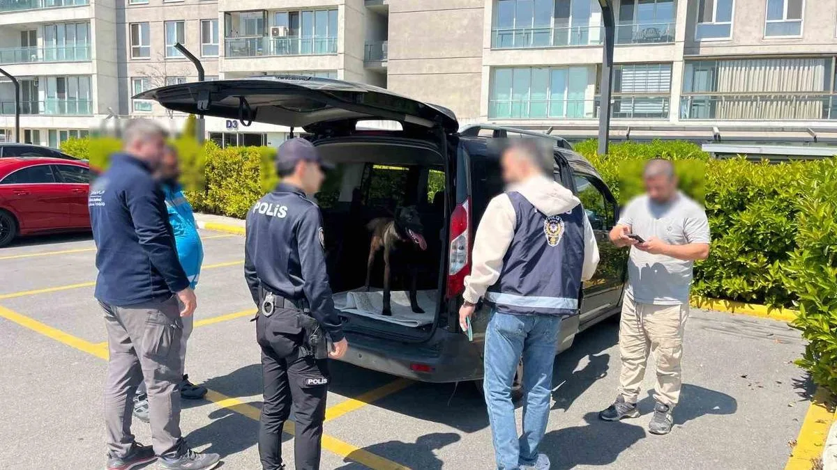 Köpeğe Kötü Muamele: Şahıs Gözaltında!