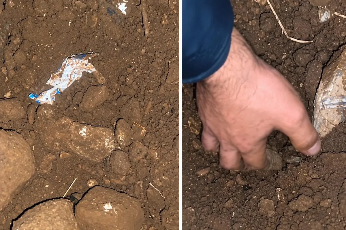 Köpeği Kurtaran Vatandaşın İnsani Refleksi