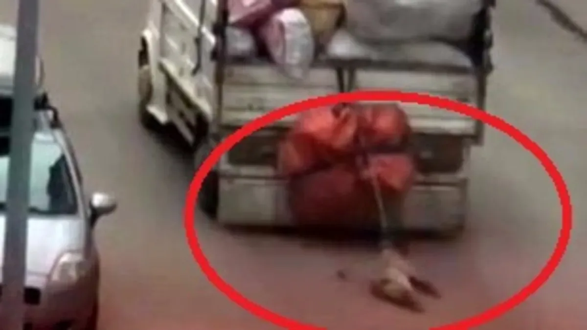 Köpeği Sürüklayan Sürücü Gözaltına Alındı!