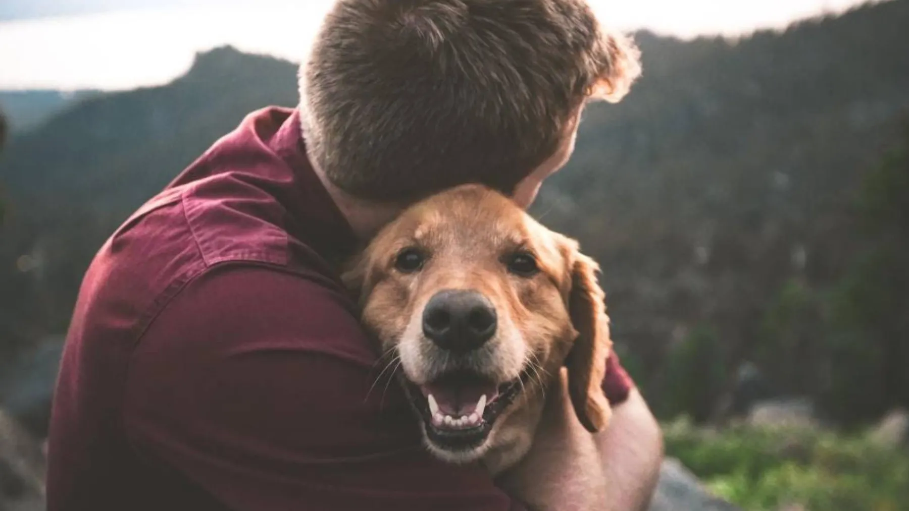 Köpek Sahipliği Kalp Sağlığını Koruyor!