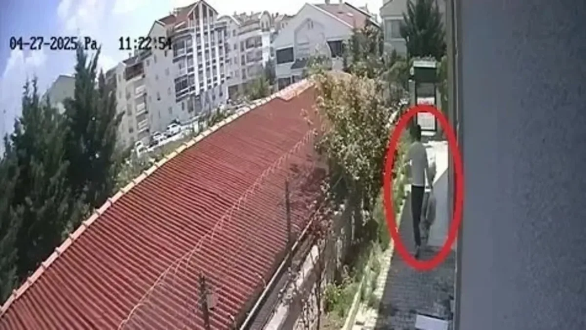 Köpekleri öldüren şüpheliyi dehşetle sorguladılar!