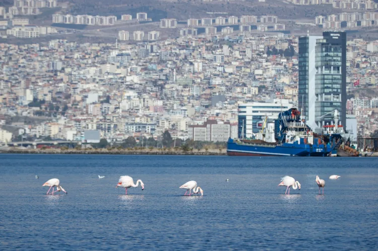 Körfez Krizi: İzmir’deki Tehditler Alarm Veriyor