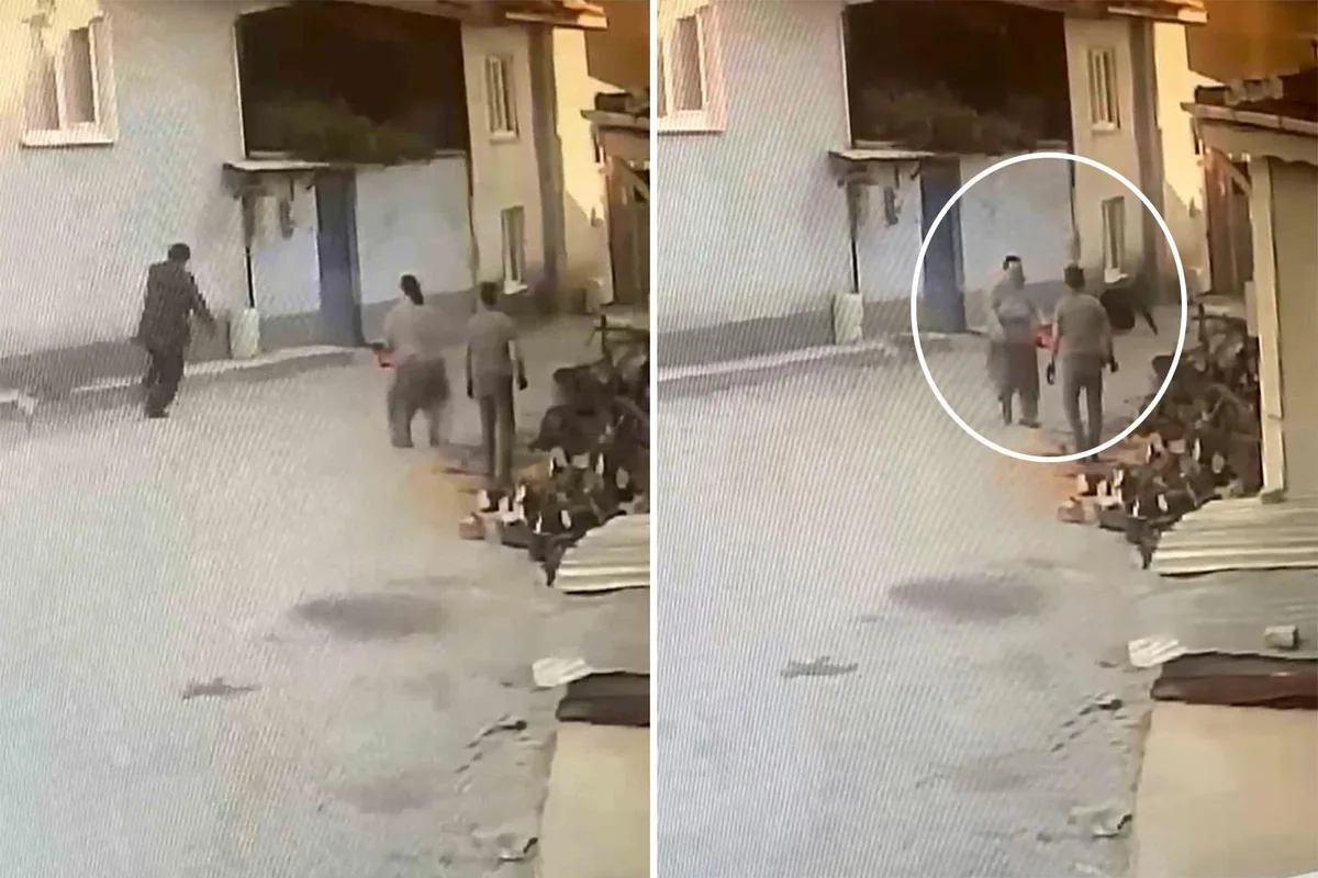 Korku Dolu Anlar: Yaşlı Adam Motorlu Testereyle Peşine Düştü