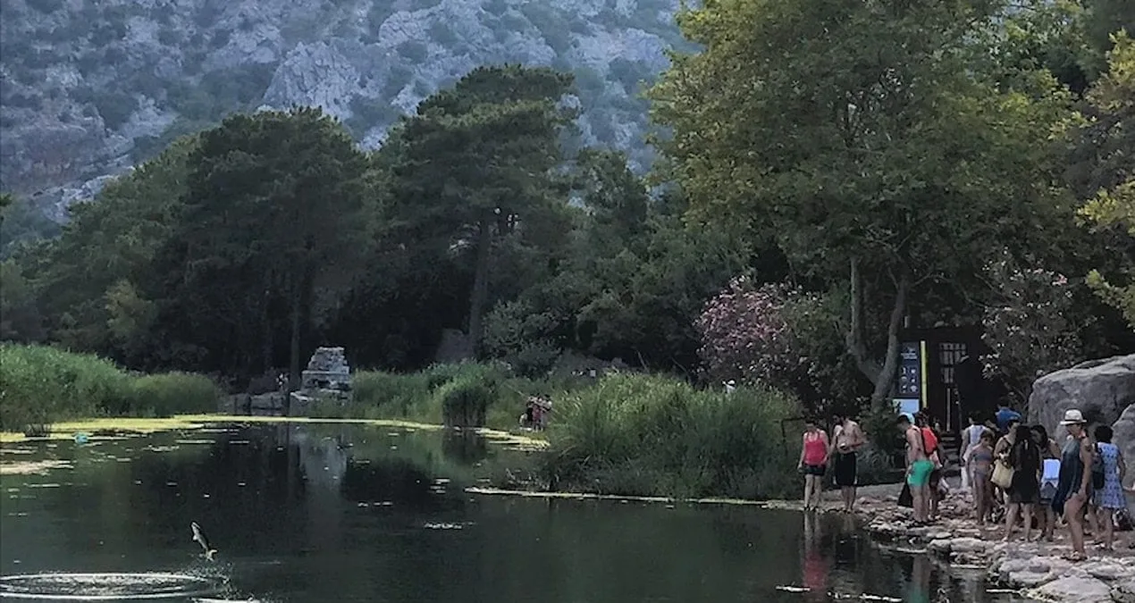 Korunan Alanlara Ziyaretçi Akını: Rekor Sayılar!