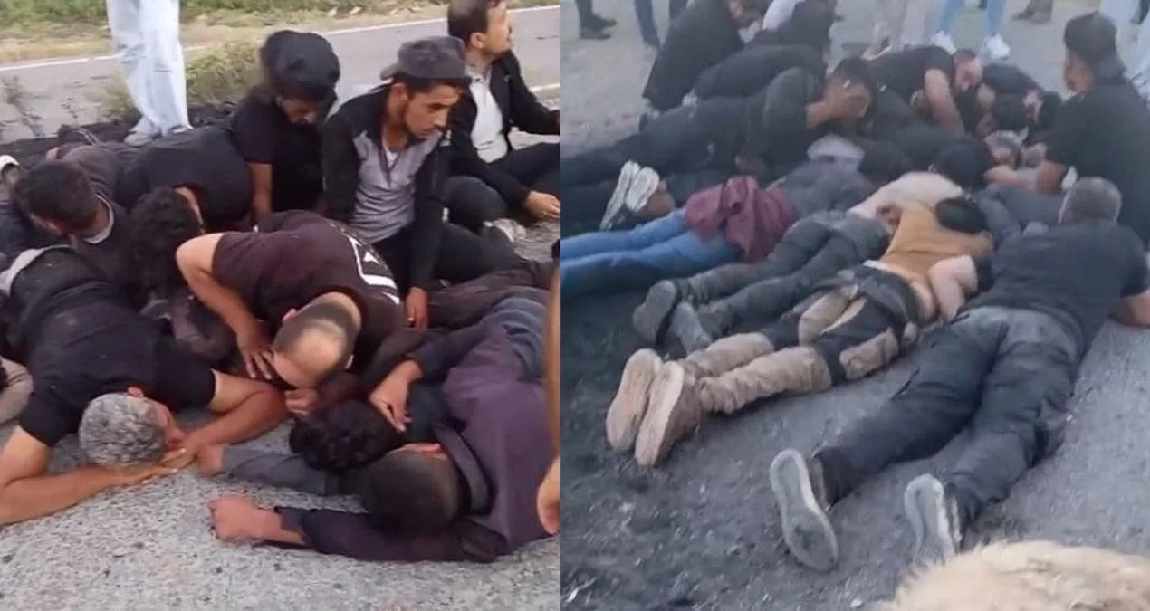 Koyun Sürüsüne Çarpan Otomobilde 14 Kaçak Göçmen