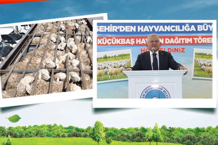 Koyunlar Artıyor, Meralar Şenleniyor Projesi