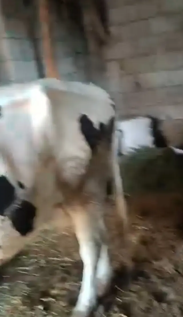 Deprem Adana daki Hopka Dağı nı böyle salladı!