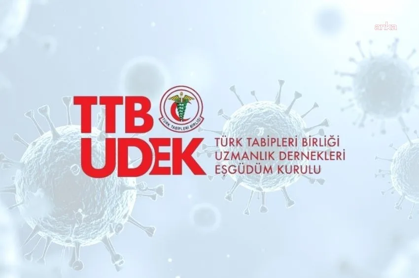 Kruvaziyer Gemisinde Hantavirüs Salgını: 11 Olgu