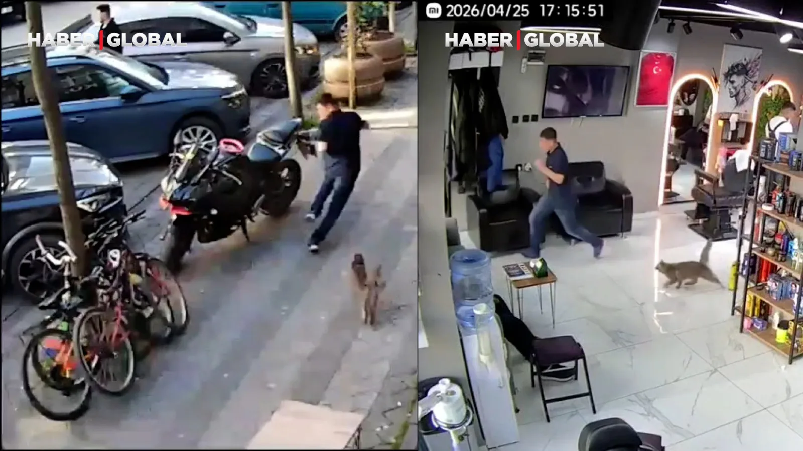 Kuafördeki Kedi Müşterileri Sokakta Kovaladı!