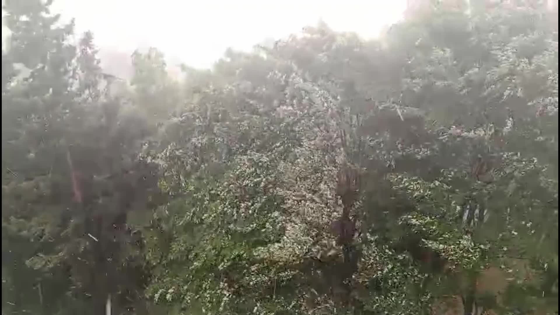 Küçükçekmece’de Fırtına ve Dolu Alarmı!