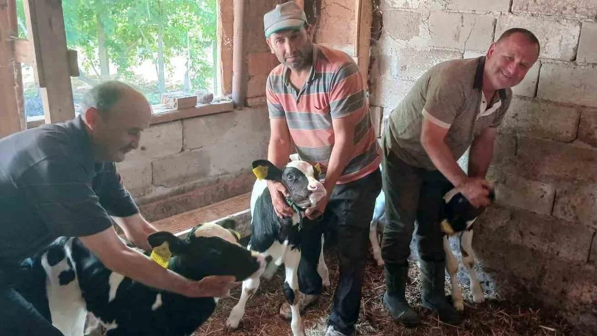 Küçükdöllük’te Nadir Üçüz Doğum Sevinci!