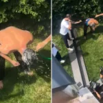 Survivor Şampiyonu Hilmi Cem İntepe’nin Renkli ve Eğlenceli Düğün Töreni