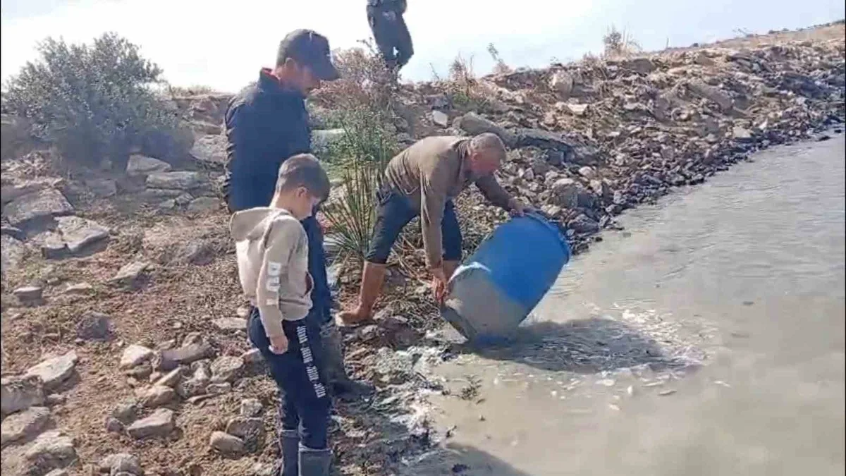Küplü Beldesi’nde Mahsur Kalan Balıklar Doğaya Kazandırıldı