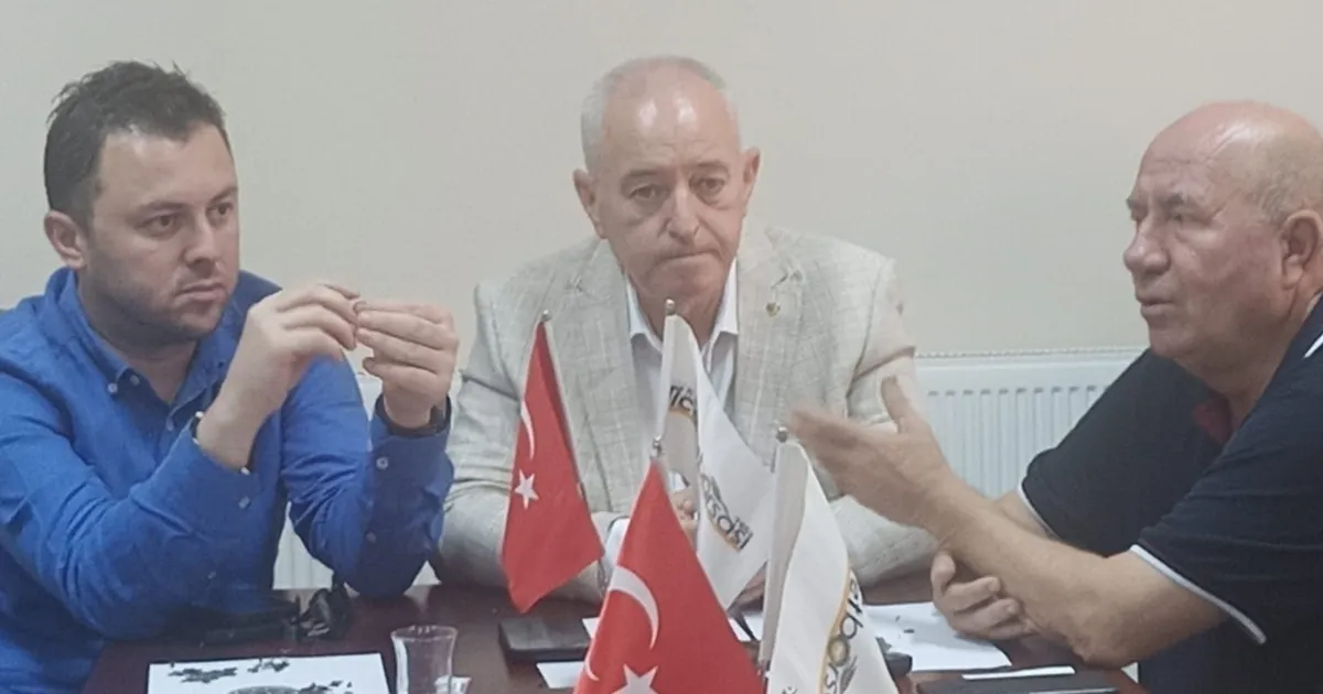 Kuraklık Etkisi: Ayçiçeği Fiyatları Yükseliyor!