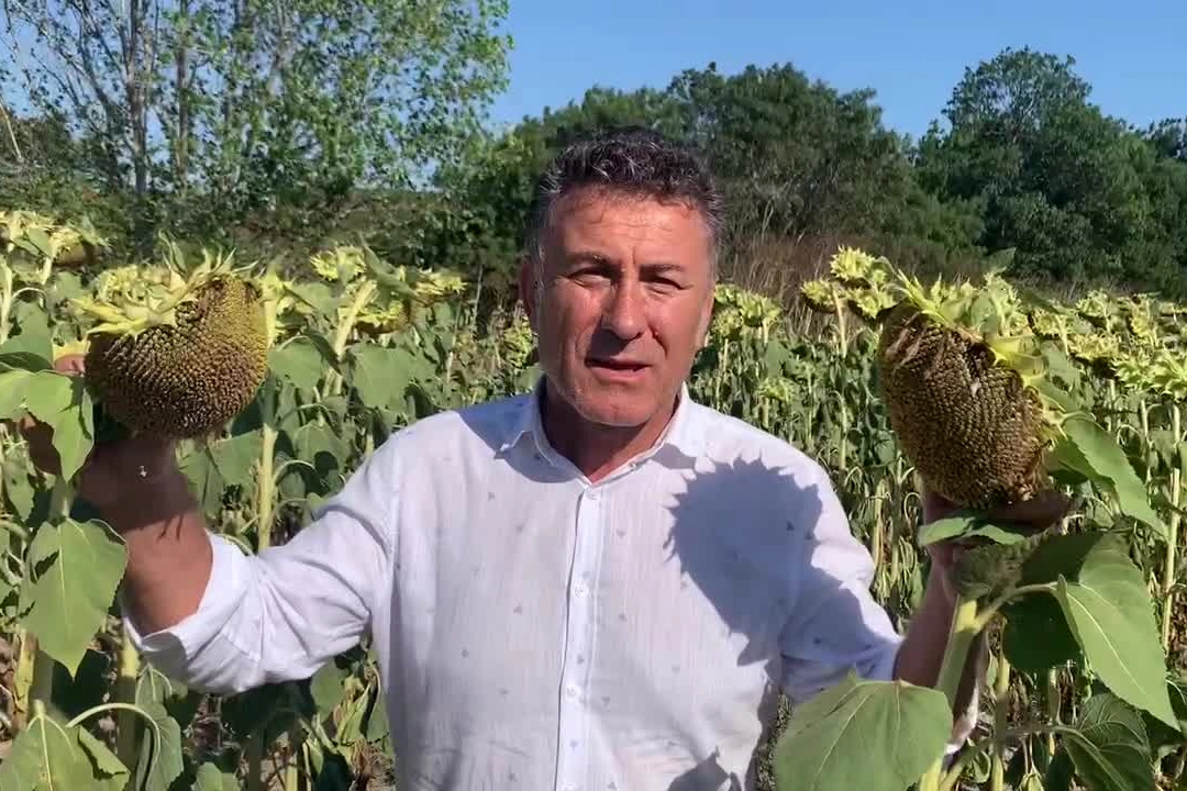 Kuraklık ve Düşük Fiyatlar Üreticiyi Zor Durumda