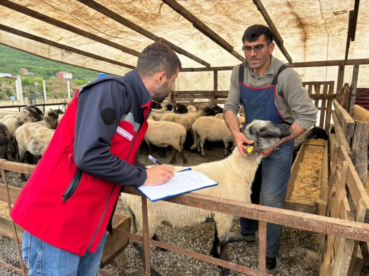Kurban Bayramı’nda Gıda Denetimleri Artırıldı!