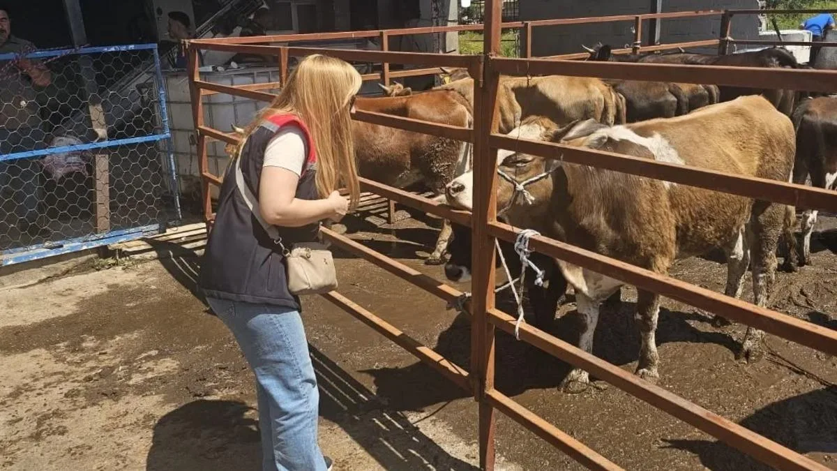 Kurban Bayramı’nda Kesim Alanları Denetimde!