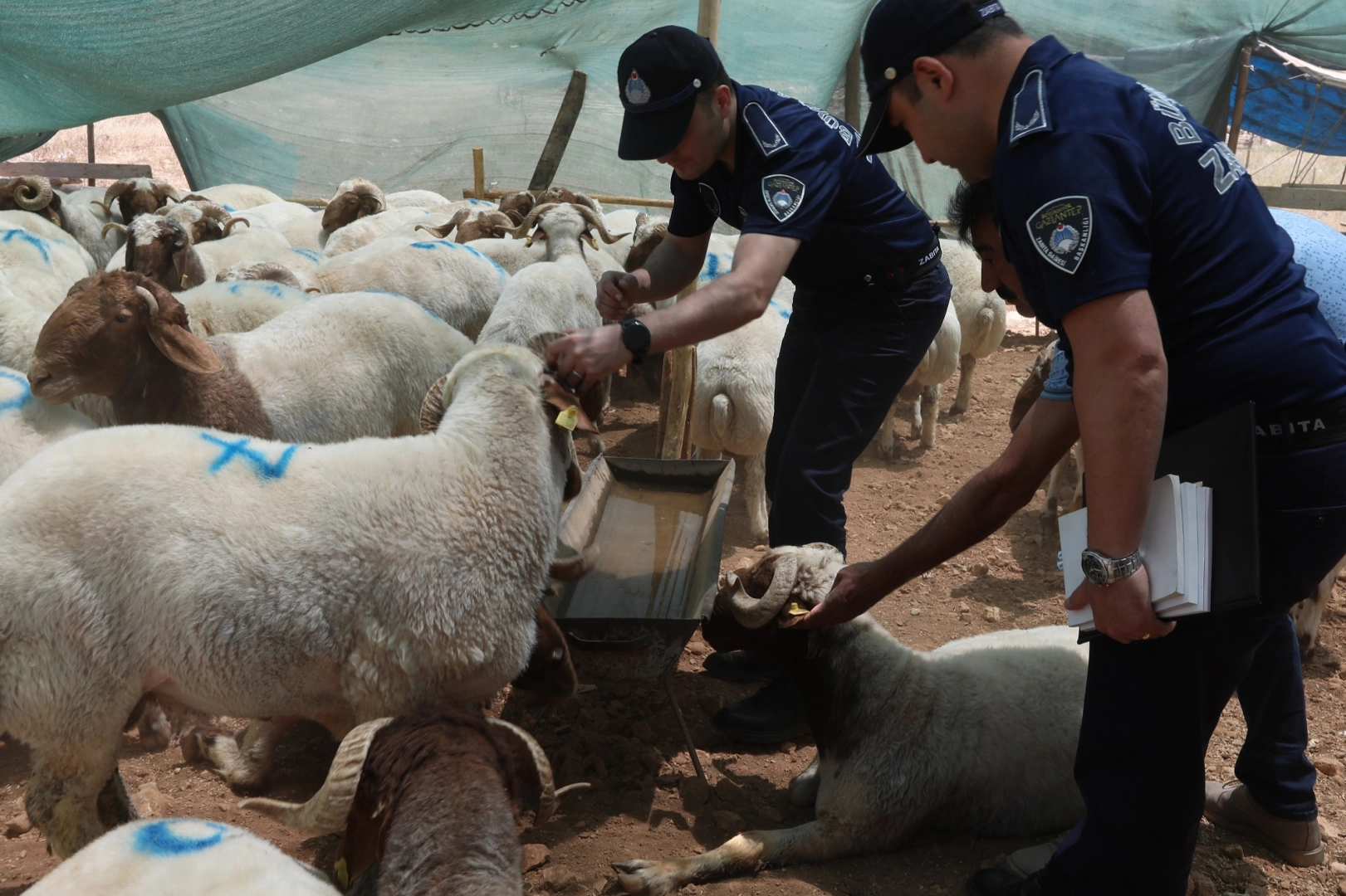 Kurban Bayramı Öncesi Gaziantep’te Denetimler Artıyor