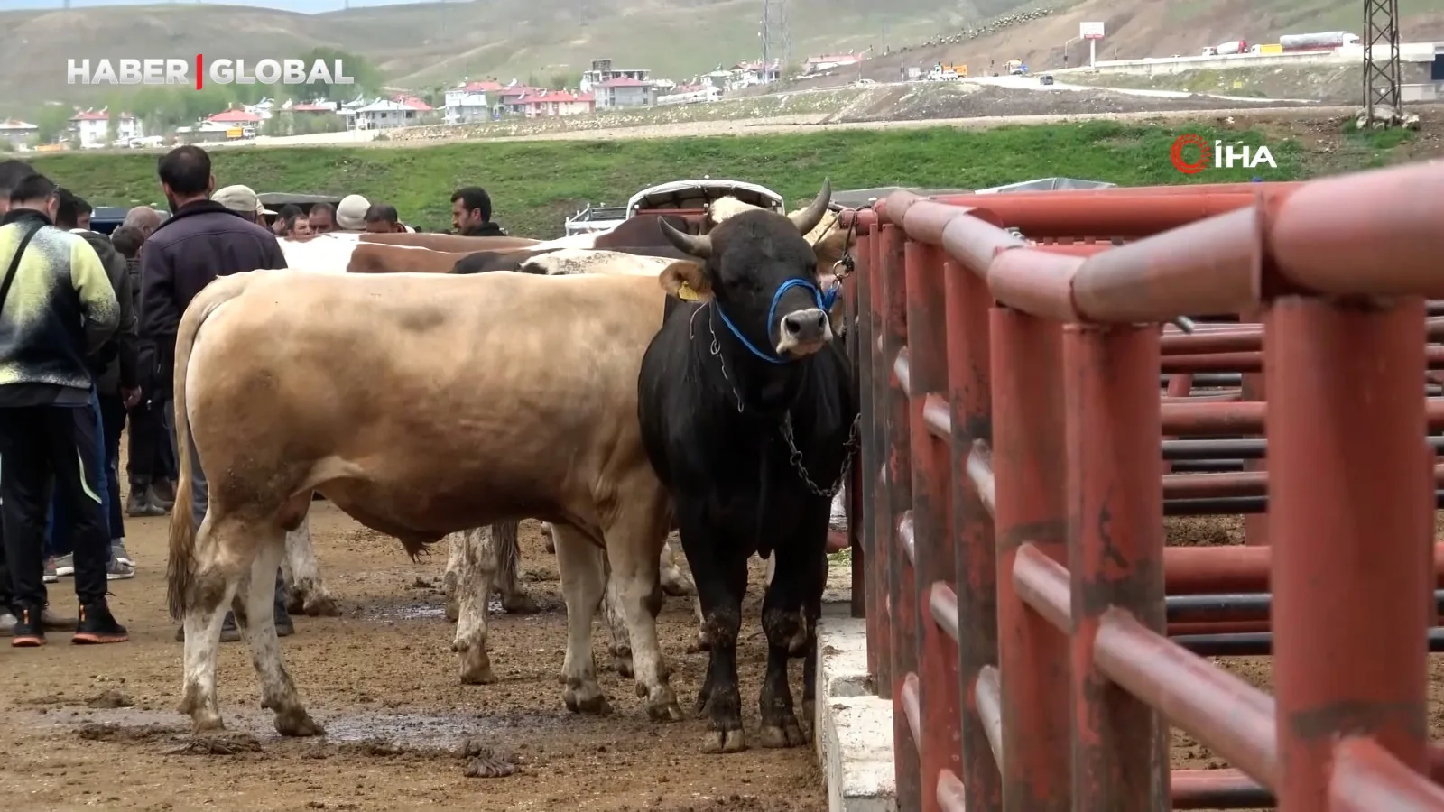 Kurban Eti Tüketimi İçin Önemli Uyarı!