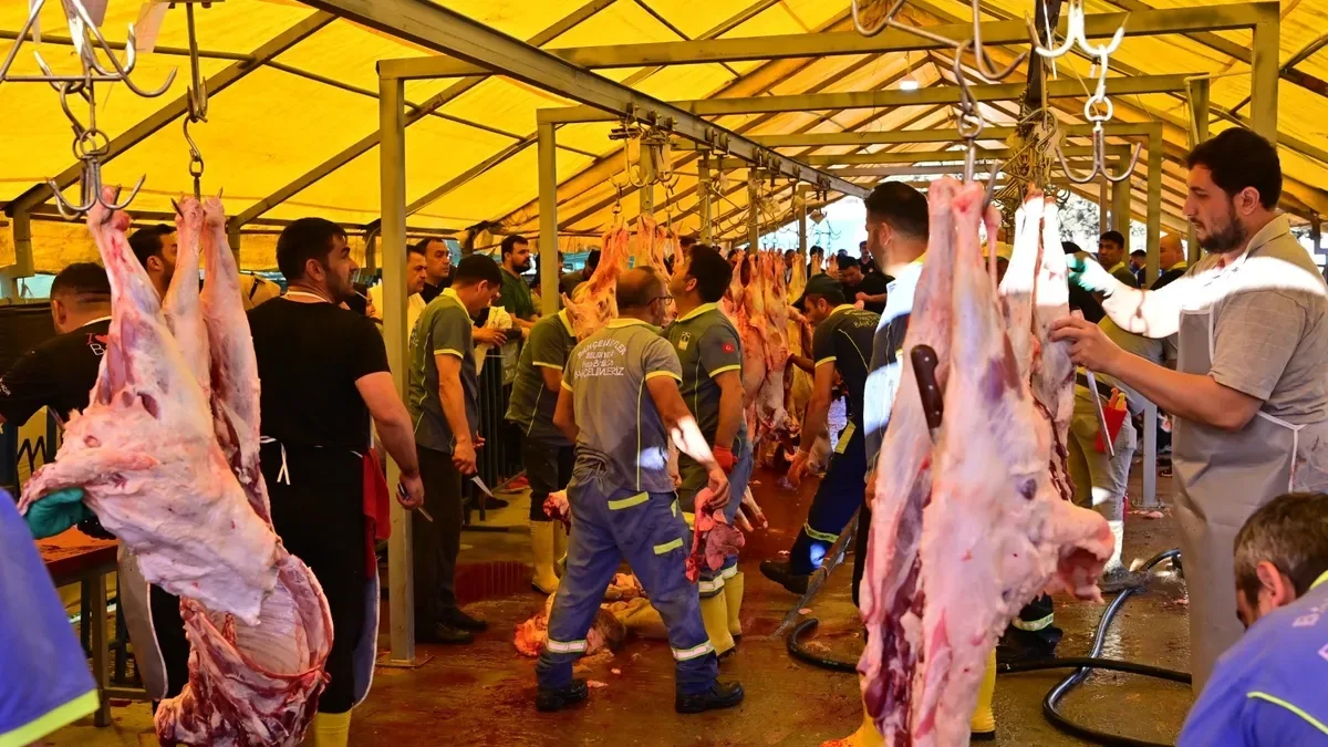Kurban Satışında İkinci Gün Fiyatlar Düşüyor!