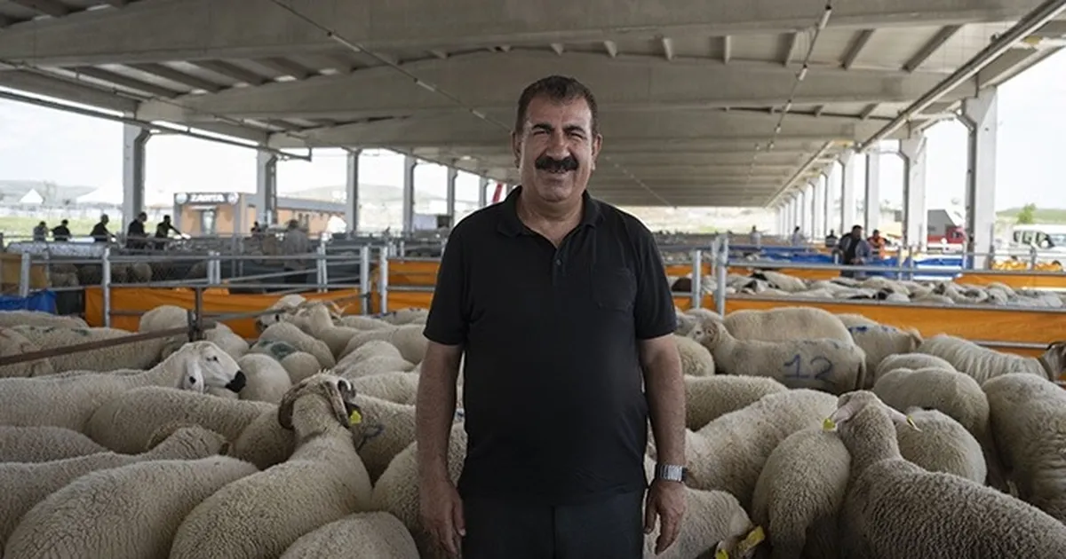 Kurban Sezonunda Fiyatlar ve Alım Gücü Sorunu