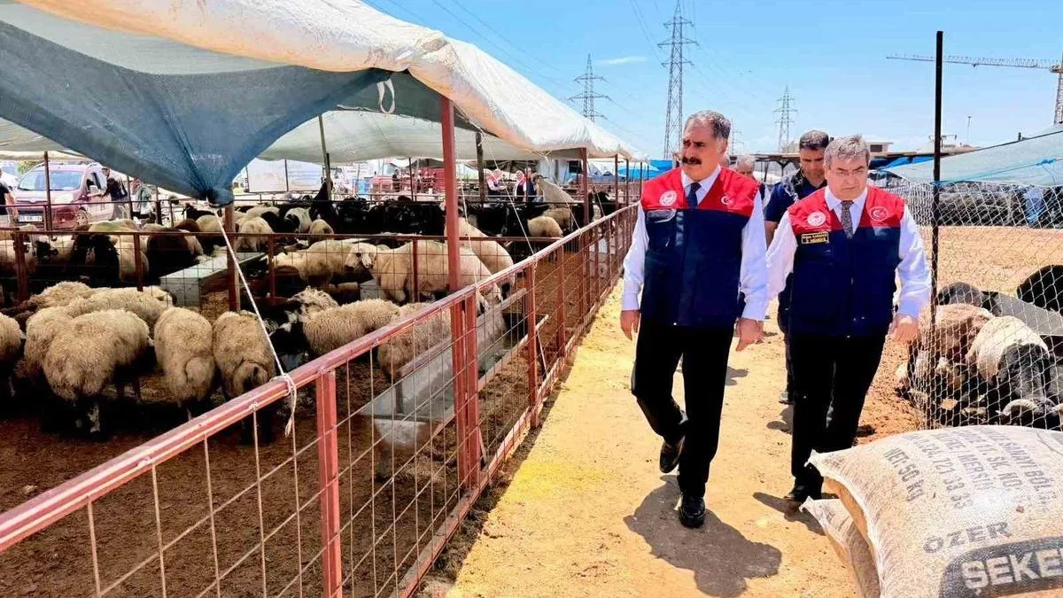 Kurbanlık Satış Alanlarında Denetim Yapıldı!